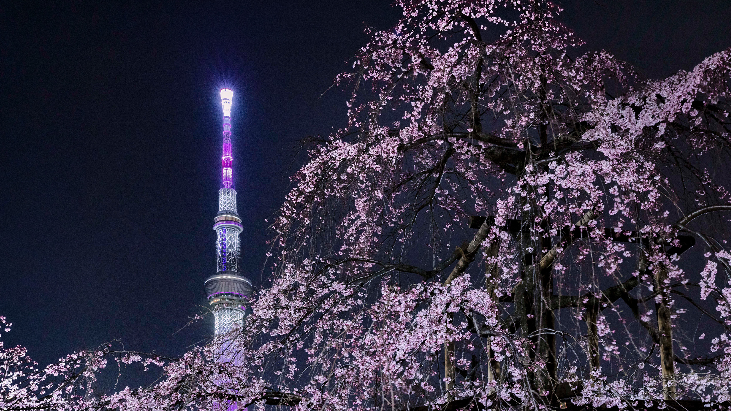 メインビジュアル2