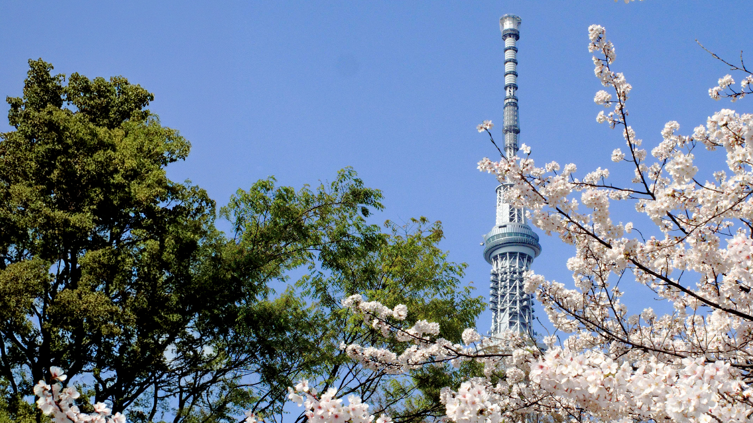 メインビジュアル3